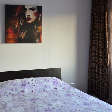 Vila Cu Trandafiri Cozy Apartments 2 Camere Bragadiru Екстер'єр фото