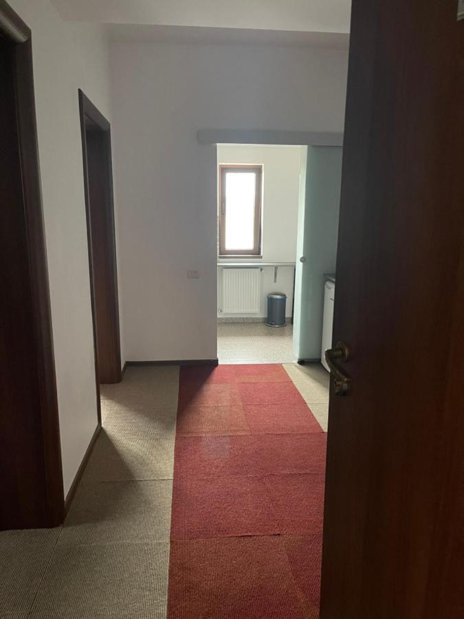 Vila Cu Trandafiri Cozy Apartments 2 Camere Bragadiru Екстер'єр фото