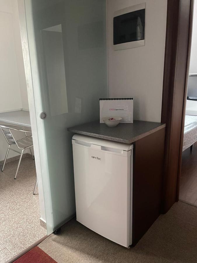 Vila Cu Trandafiri Cozy Apartments 2 Camere Bragadiru Екстер'єр фото